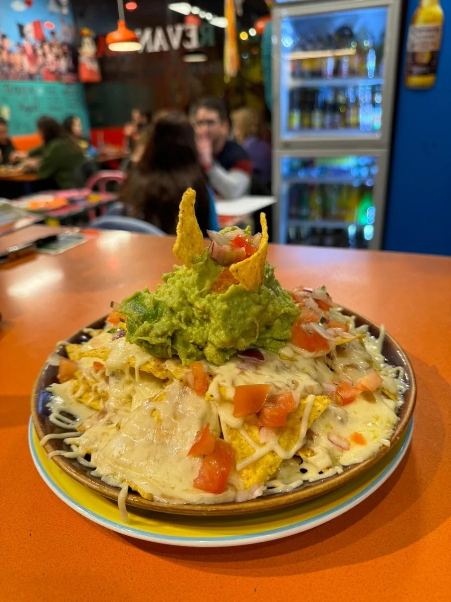 Plato variado mexicano con guacamole, arroz, frijoles, quesadillas y flautas